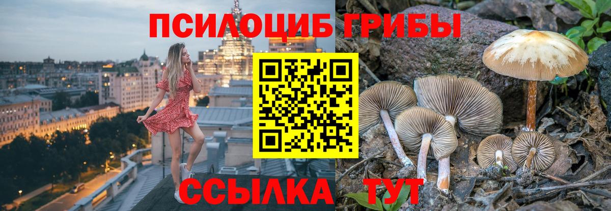 Галлюциногенные грибы GOLDEN TEACHER Псков